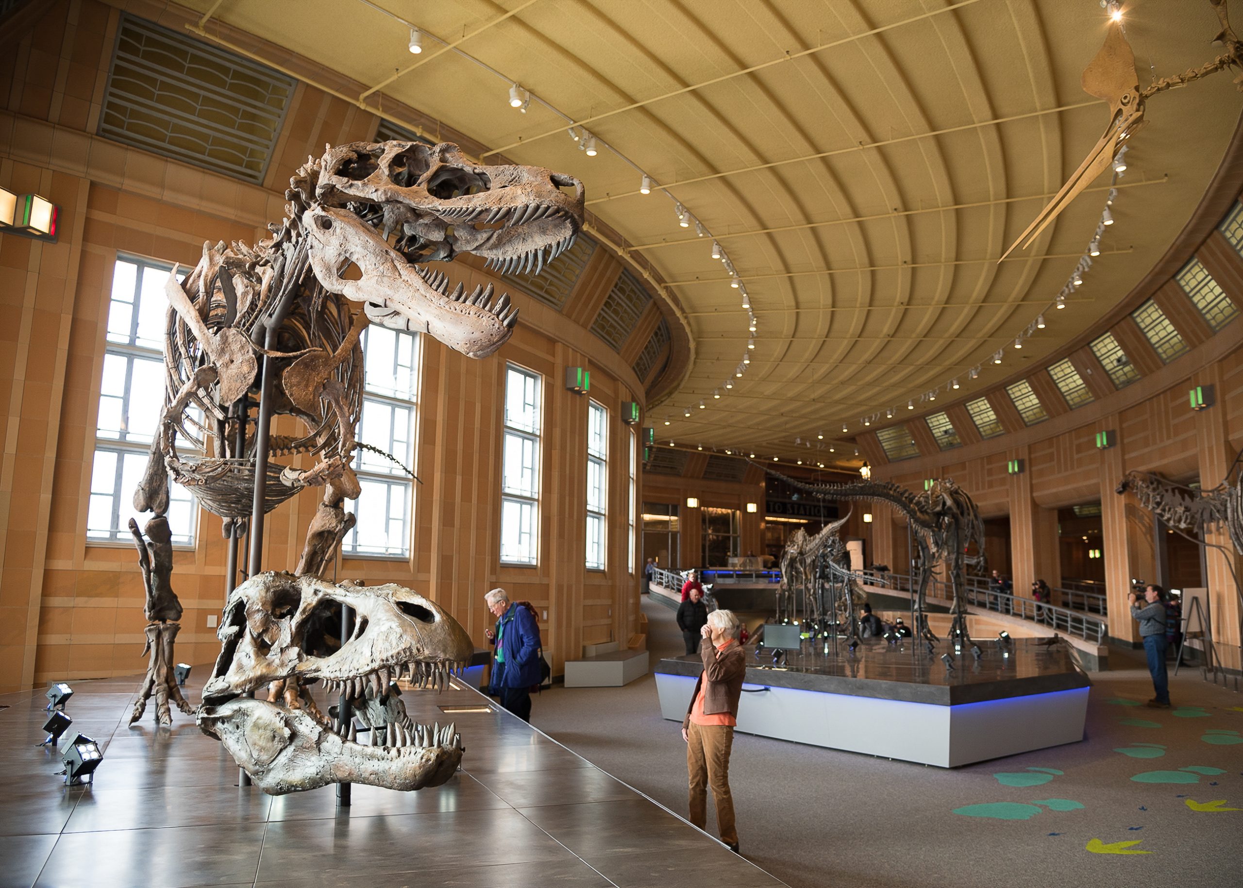 CMC Dinosaur Hall | Cincinnati Refined | Phil Armstrong